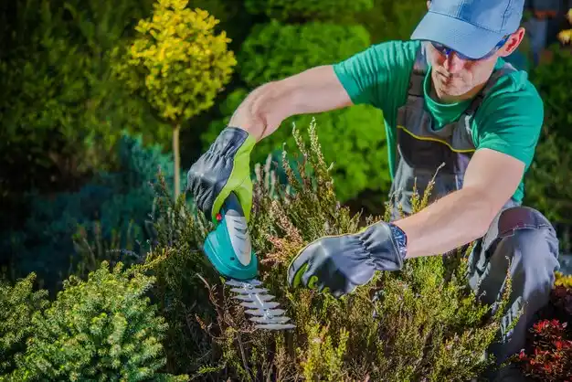 landscaping services Centertown